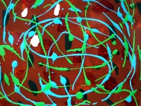 Ribbons by Kevin Waverly.jpg